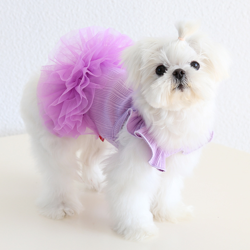 Fairy Wing Pet Dress