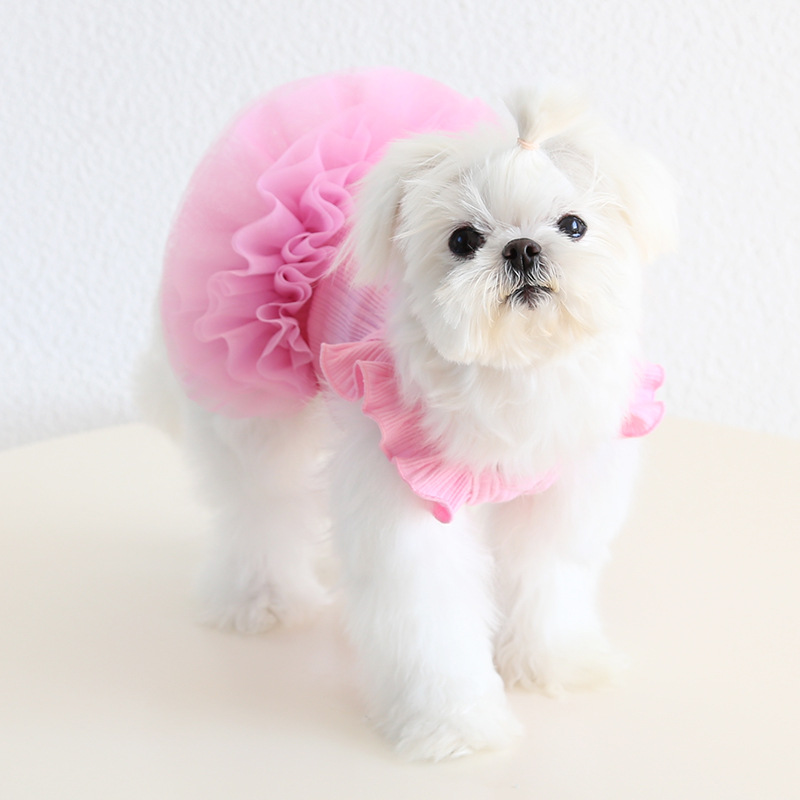 Fairy Wing Pet Dress