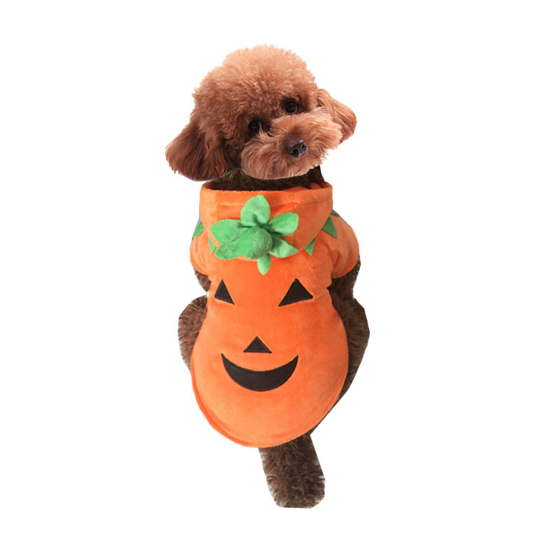 Pumpkin Pet Costume