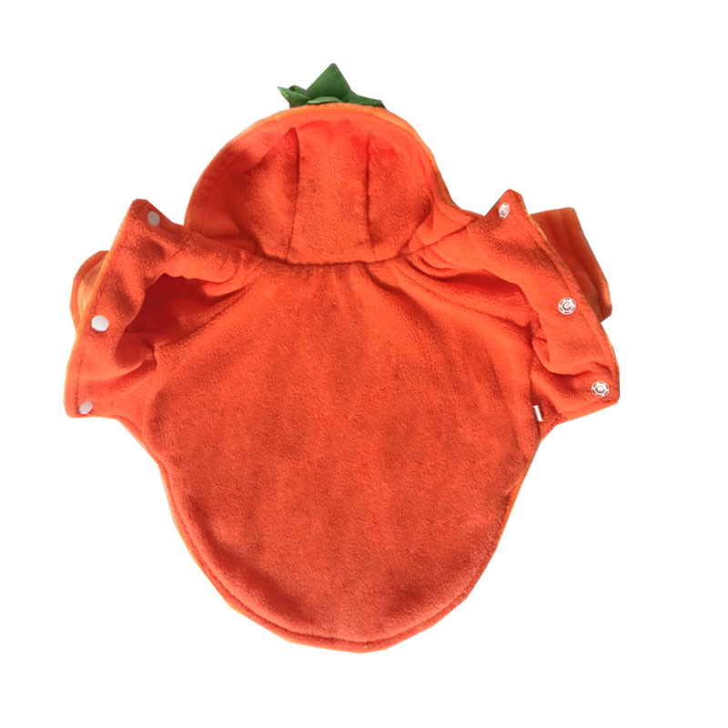 Pumpkin Pet Costume