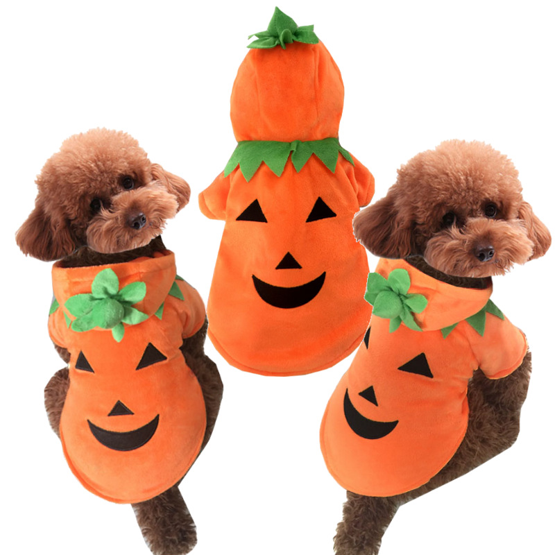 Pumpkin Pet Costume