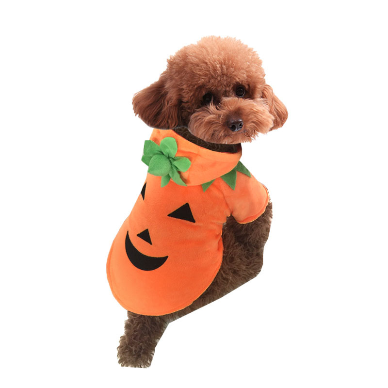 Pumpkin Pet Costume