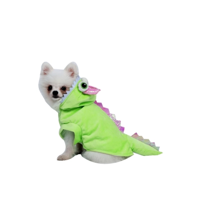 Dinosaur Pet Costume 02