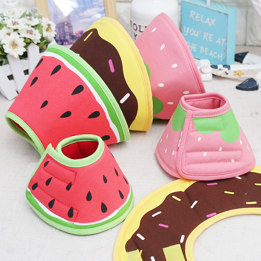 Fruit Themed Pet E Collar