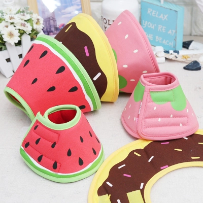 Fruit Themed Pet E Collar 01