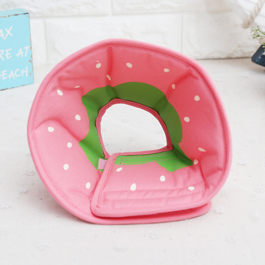 Fruit Themed Pet E Collar