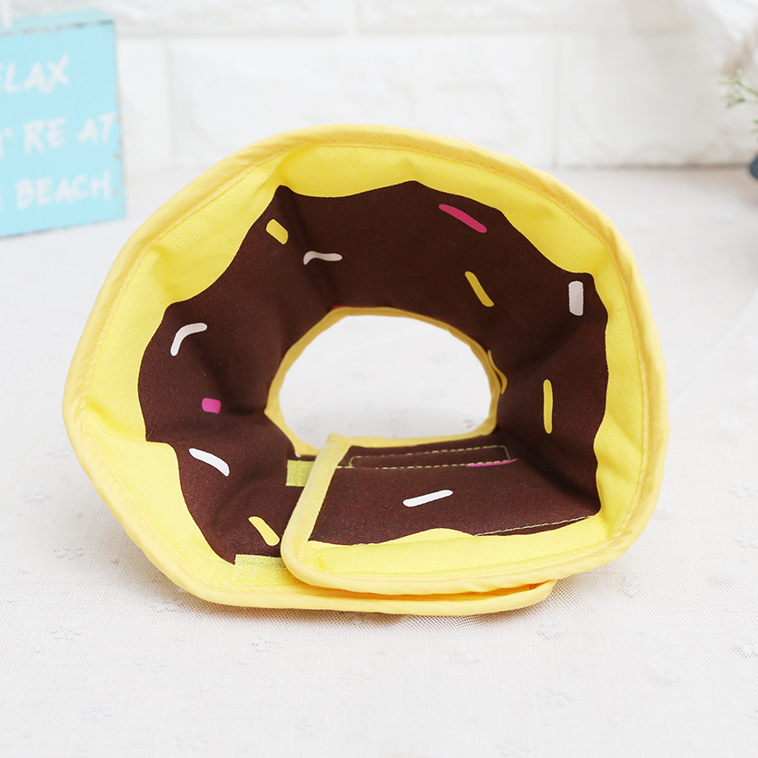 Fruit Themed Pet E Collar