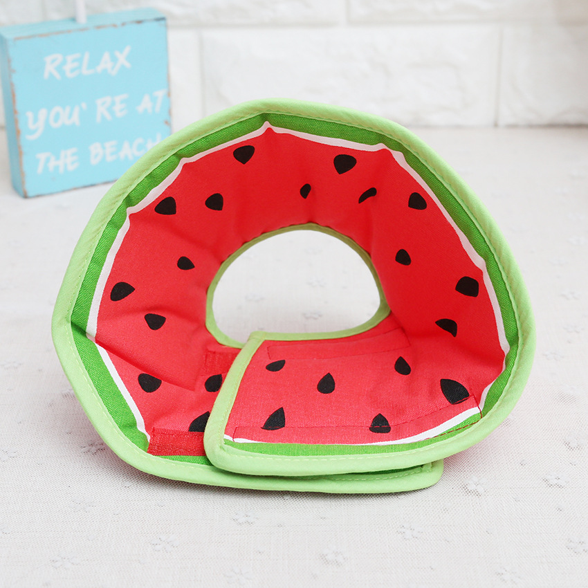 Fruit Themed Pet E Collar