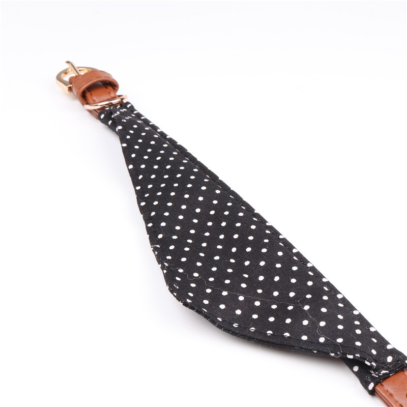 Polka Dot Pet Collar Set