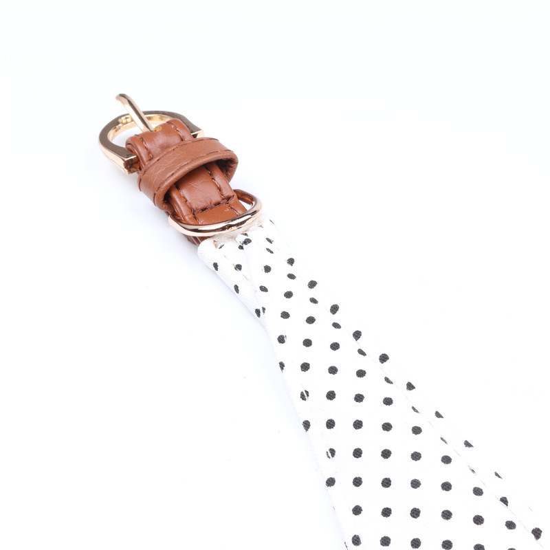Polka Dot Pet Collar Set