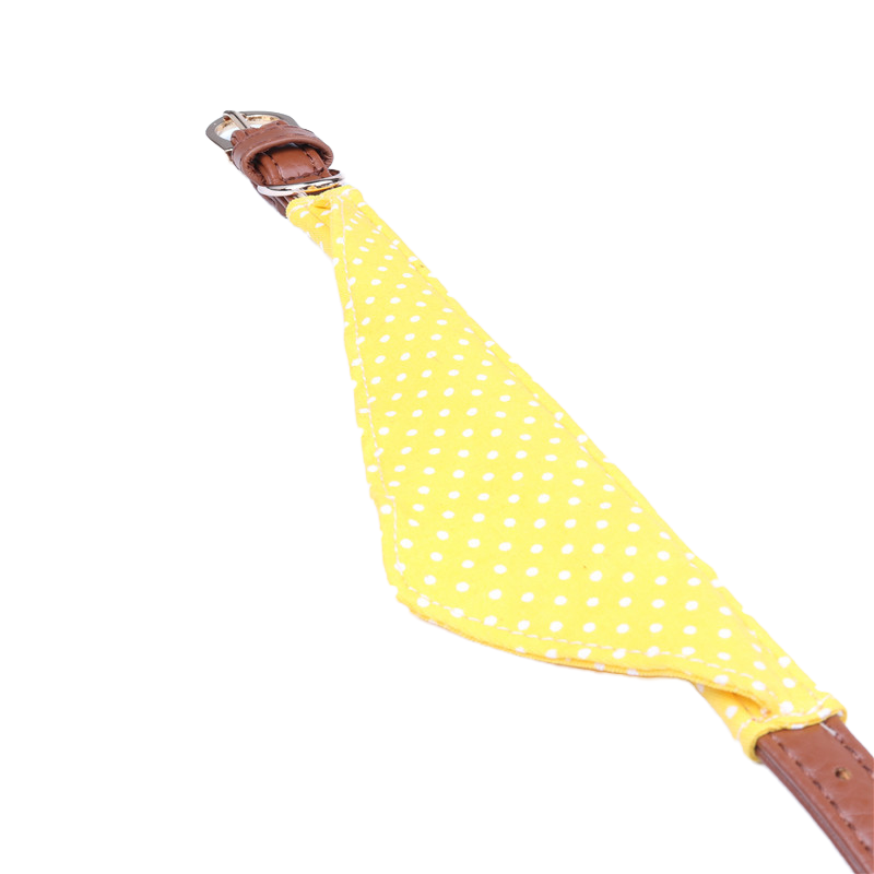 Polka Dot Pet Collar Set