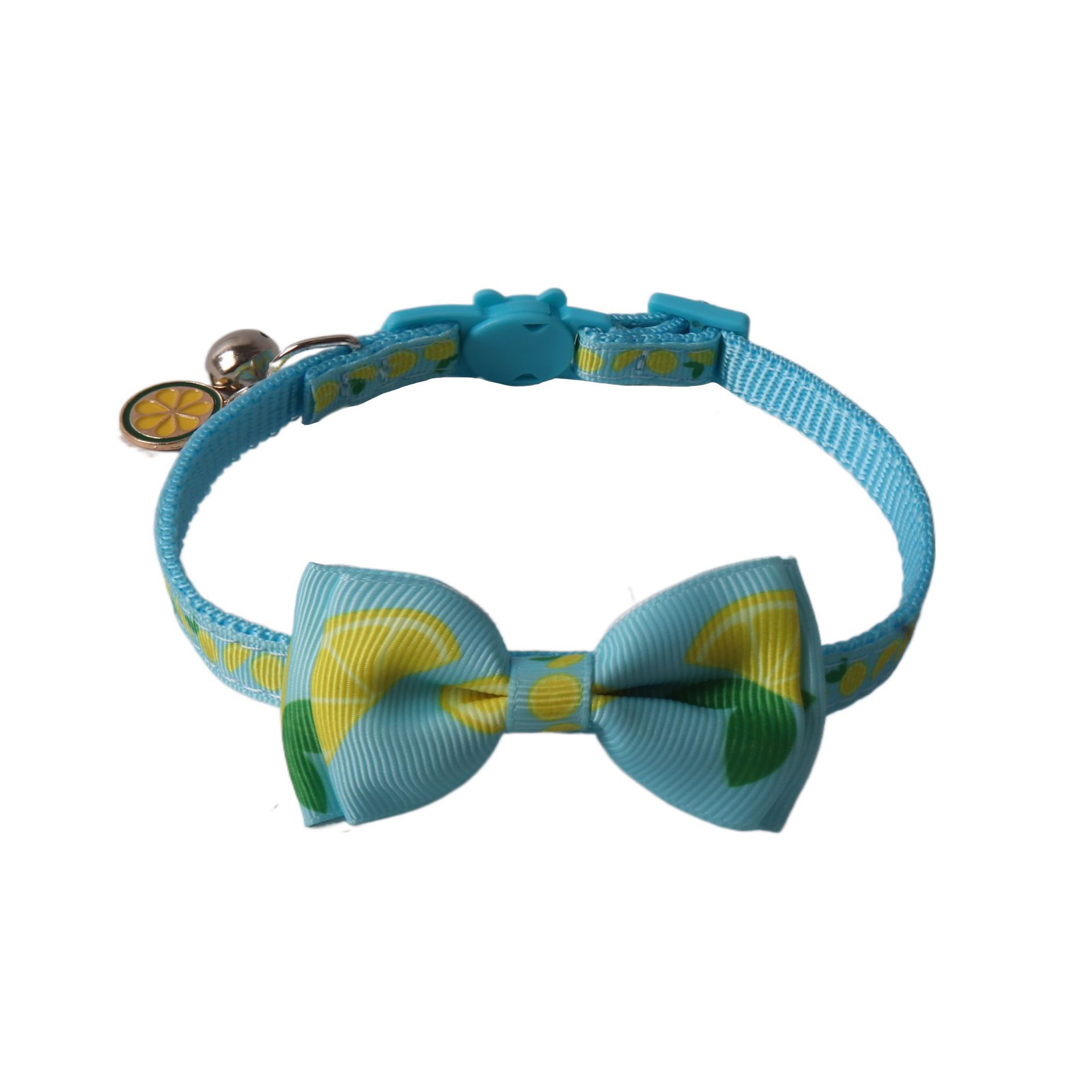 Fruit Pattern Pet Collar Set