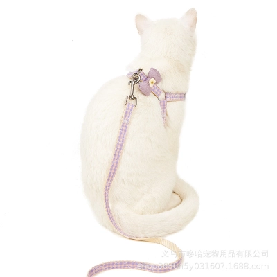 Daisy Bow Pet Leash Set Fashion Design 02