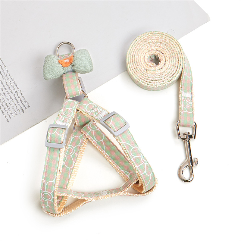 Daisy Bow Pet Leash Set Fashion Design