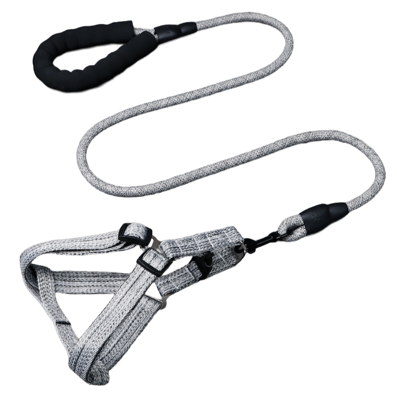Adjustable Dog Harness Set Foam Handle