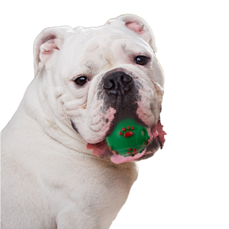 Paw Print Dog Toy Set Christmas Colors