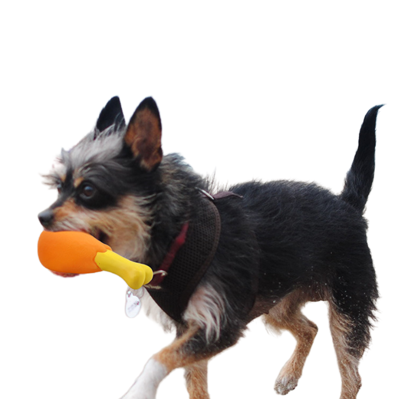 Chicken Leg Dog Toy Set Press Sound