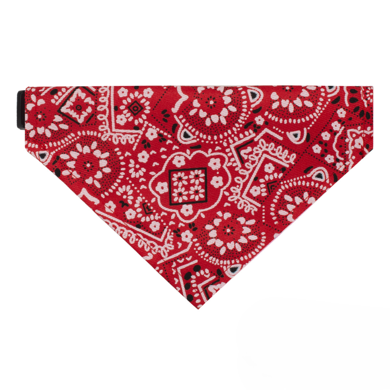 Star Pattern Pet Bandana Set Three Sizes