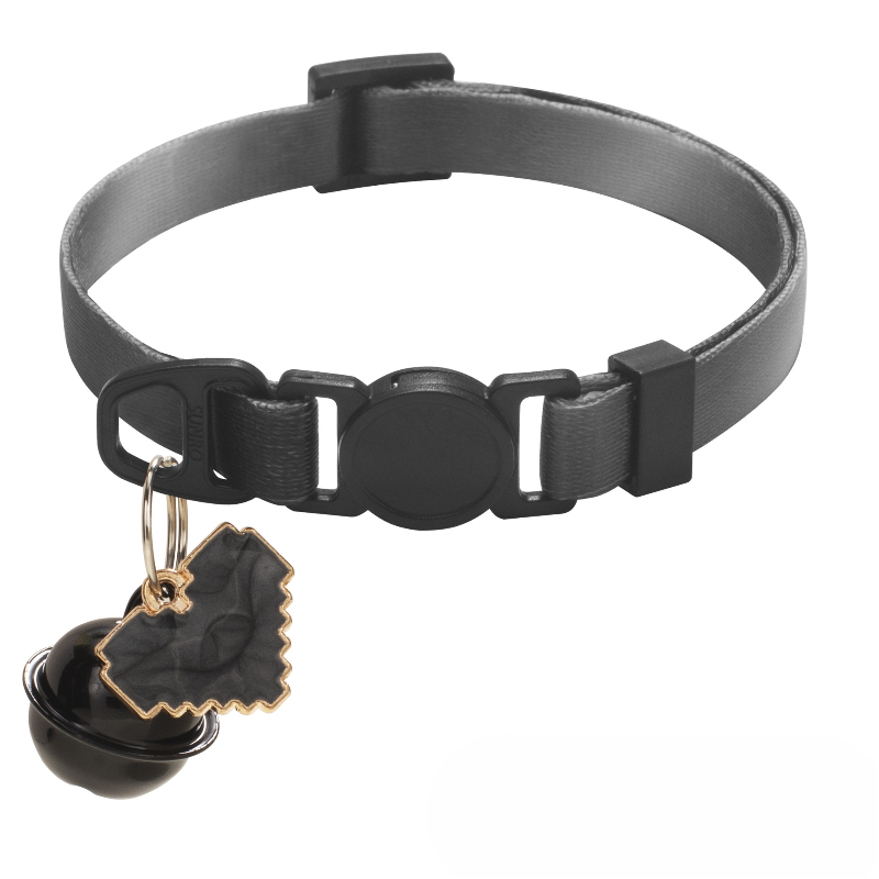 Gradient Color Pet Collar Set With Heart Charm