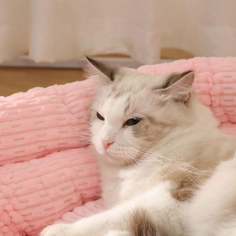 Flannel Pet Bed With Double Backrest