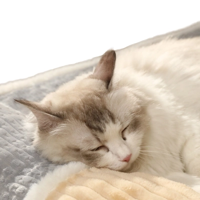Flannel Pet Mattress With Pillow Area 02