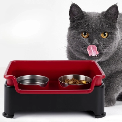 Elevated Pet Feeder Set Two Bowls 02