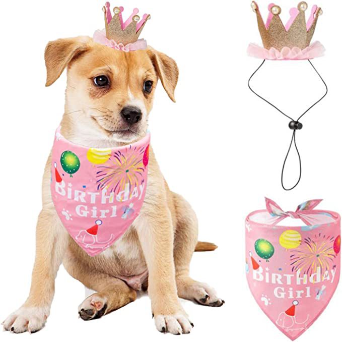 Birthday Pet Bandana With Party Hat Design