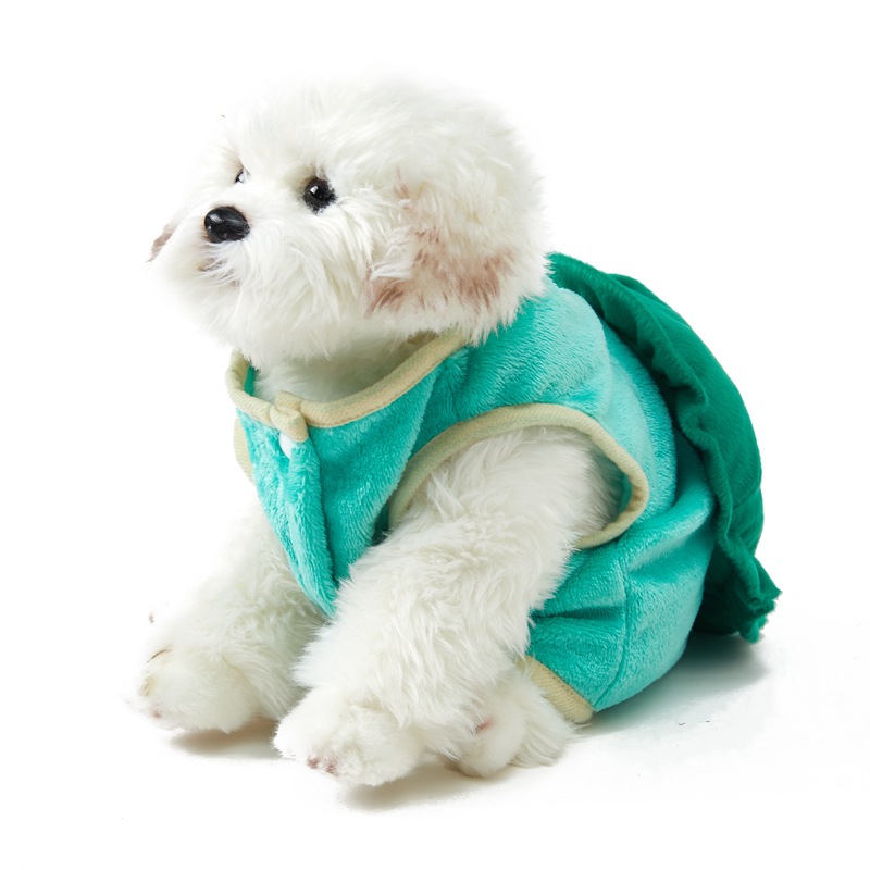 Halloween Turtle Costume For Small Pets