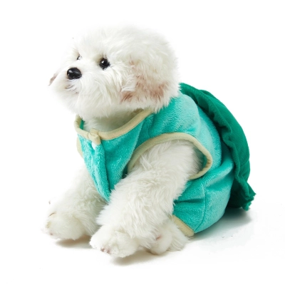 Halloween Turtle Costume For Small Pets 02