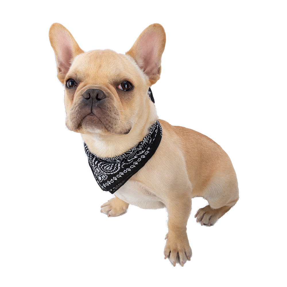 Paisley Pet Bandana With Soft Cotton Fabric
