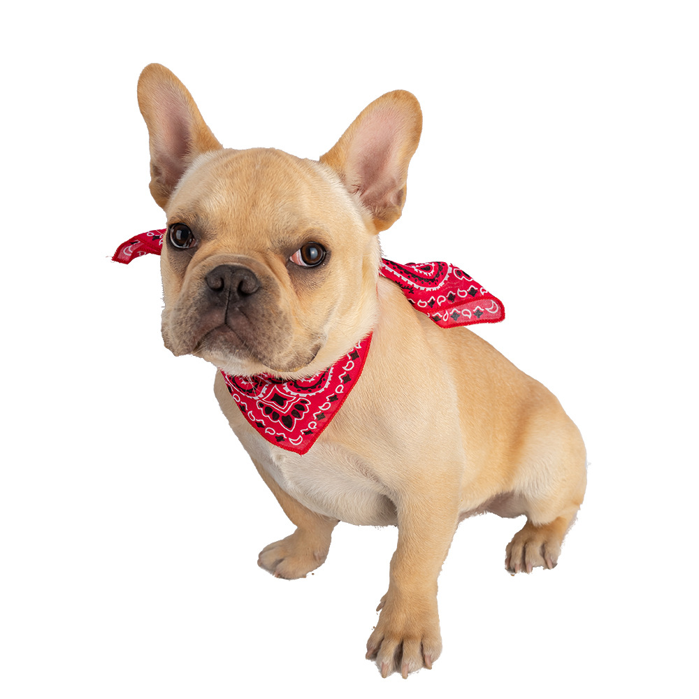 Paisley Pet Bandana With Soft Cotton Fabric