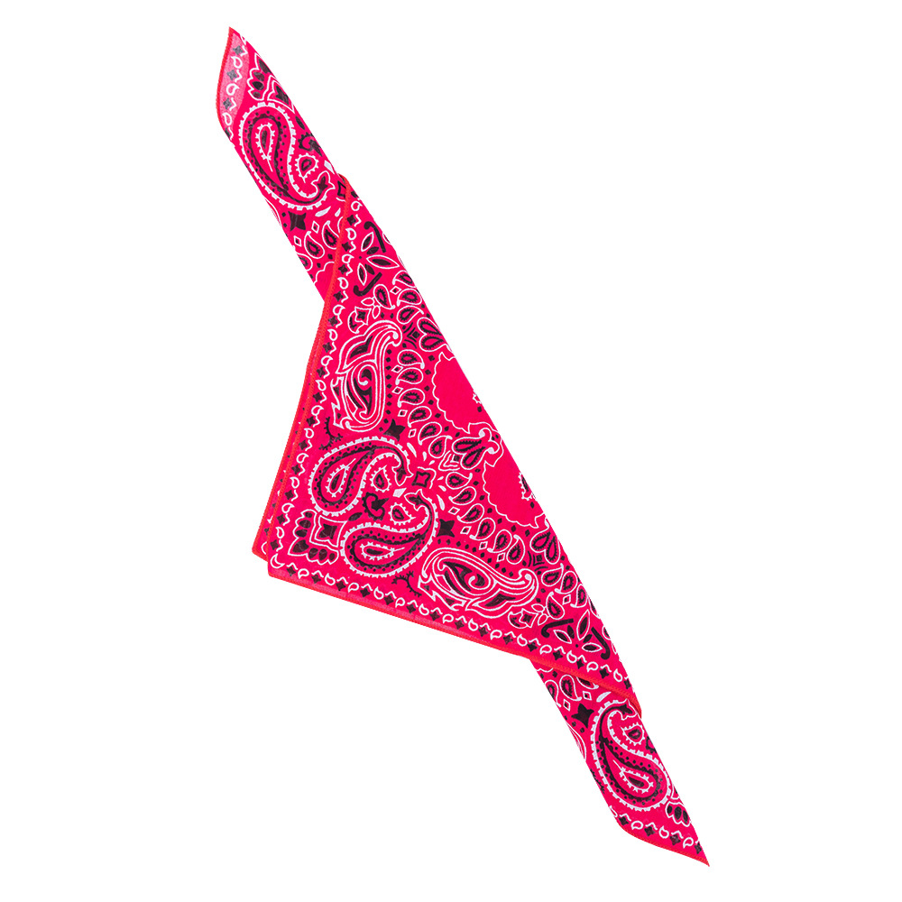 Paisley Pet Bandana With Soft Cotton Fabric