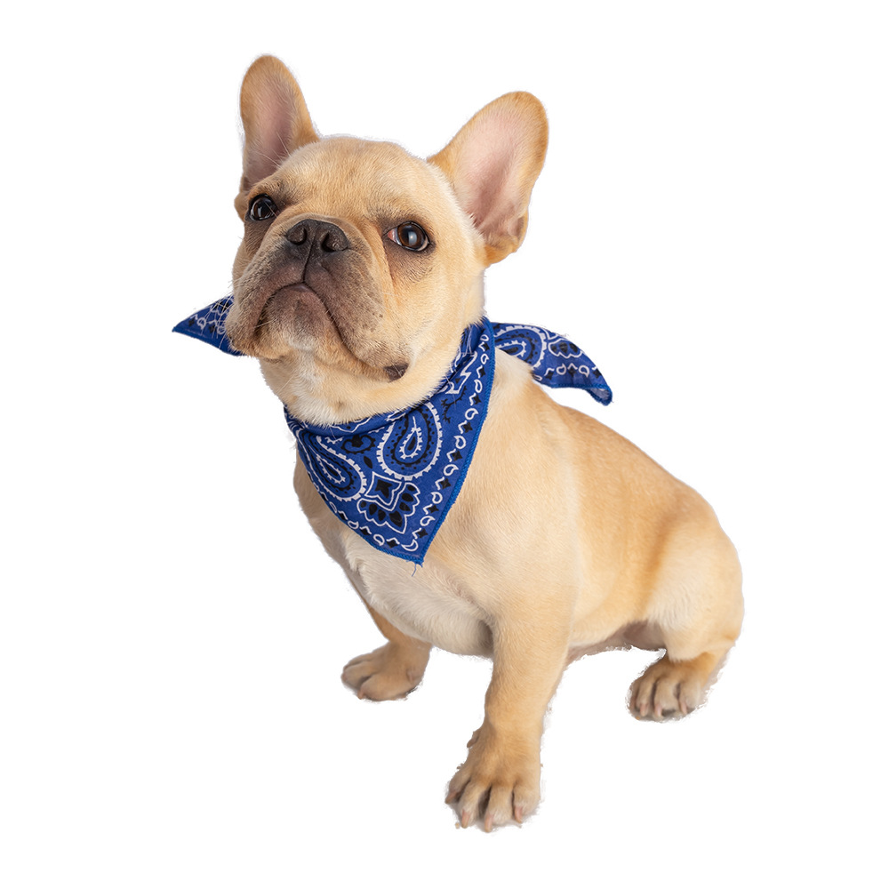 Paisley Pet Bandana With Soft Cotton Fabric