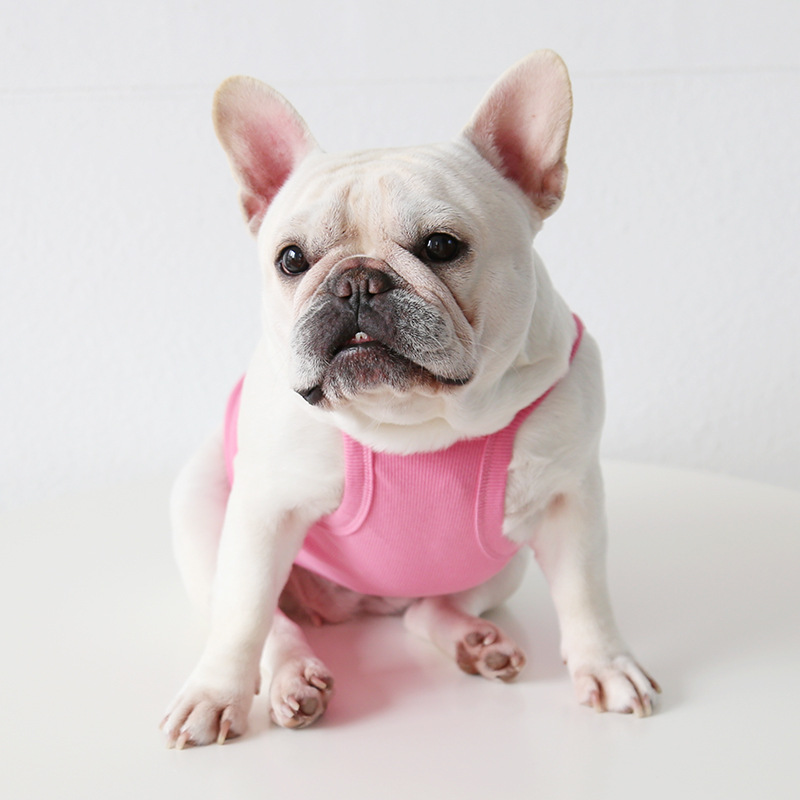 Fruit Print Pet Vest With Soft Fabric