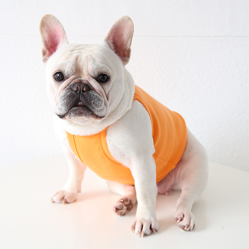 Fruit Print Pet Vest With Soft Fabric