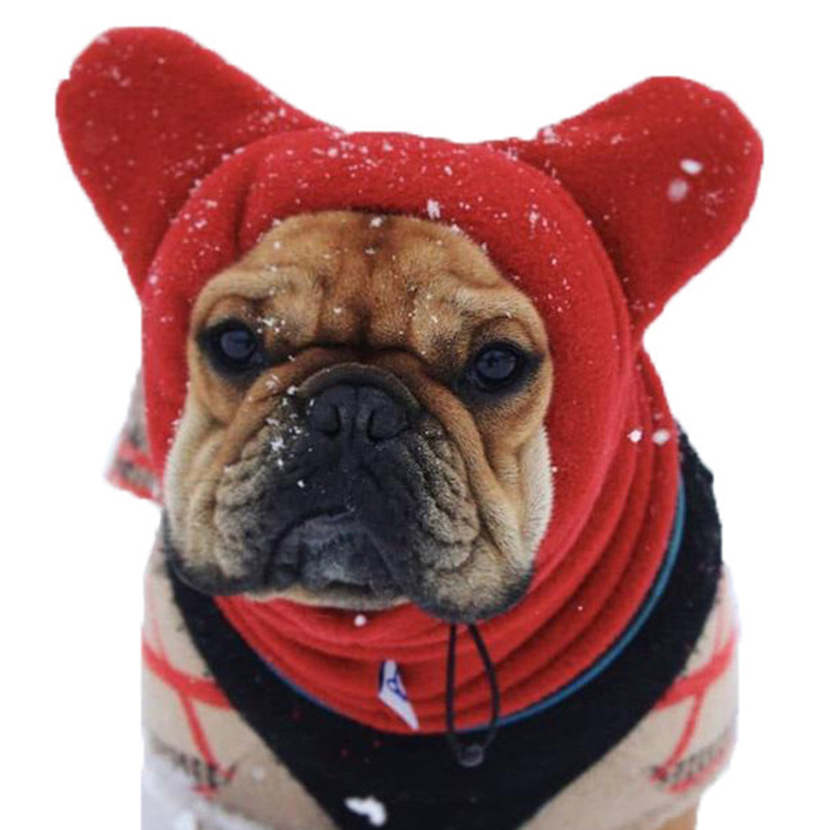 Dog Fleece Hood Warm Pet Hat Head Cover
