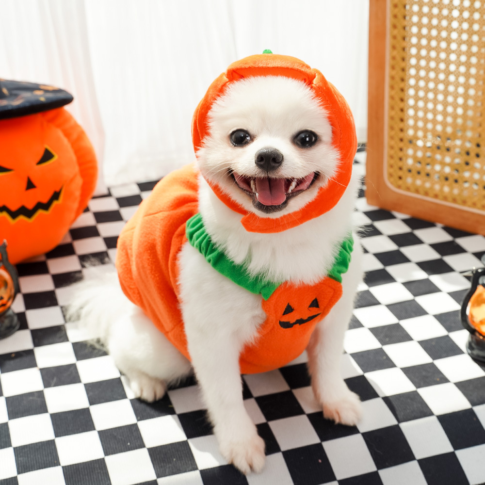 Pumpkin Costume Halloween Pet Dog Cat Clothing