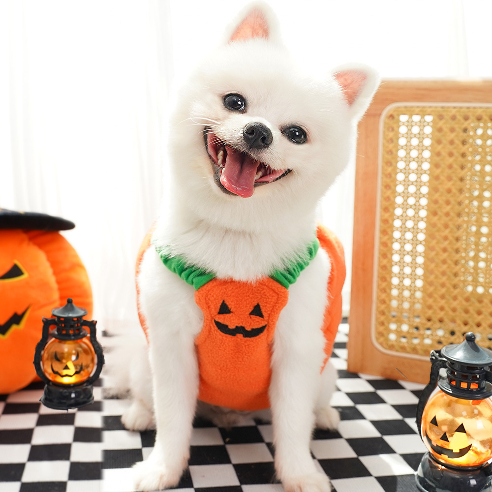Pumpkin Costume Halloween Pet Dog Cat Clothing