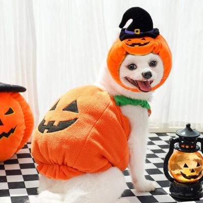 Pumpkin Costume Halloween Pet Dog Cat Clothing 01
