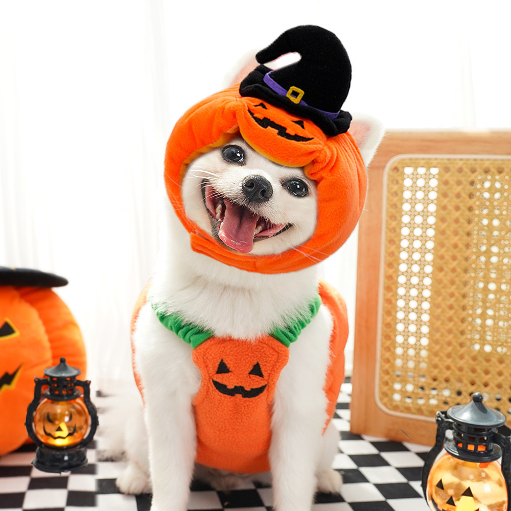 Pumpkin Costume Halloween Pet Dog Cat Clothing