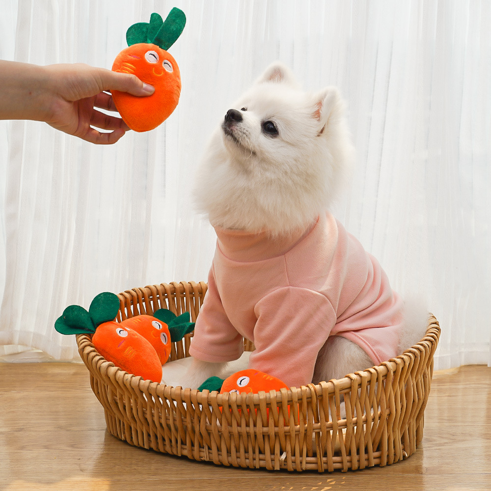 Cute Squeaky Carrot Plush Toy for Dogs and Cats