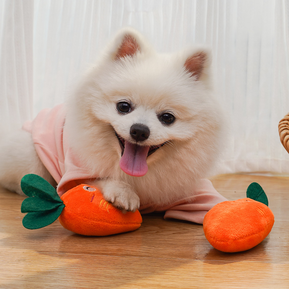Cute Squeaky Carrot Plush Toy for Dogs and Cats