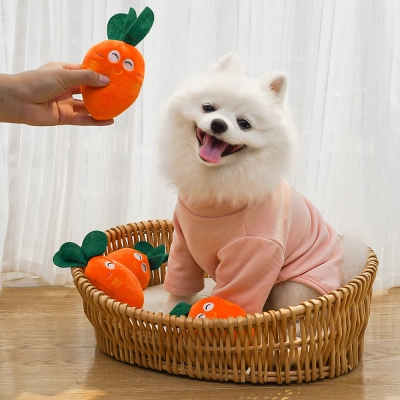 Cute Squeaky Carrot Plush Toy for Dogs and Cats 01
