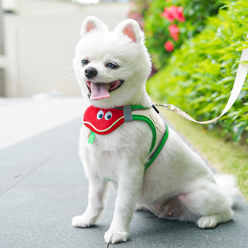 Mesh Pet Harness Cartoon Apple Design Breathable
