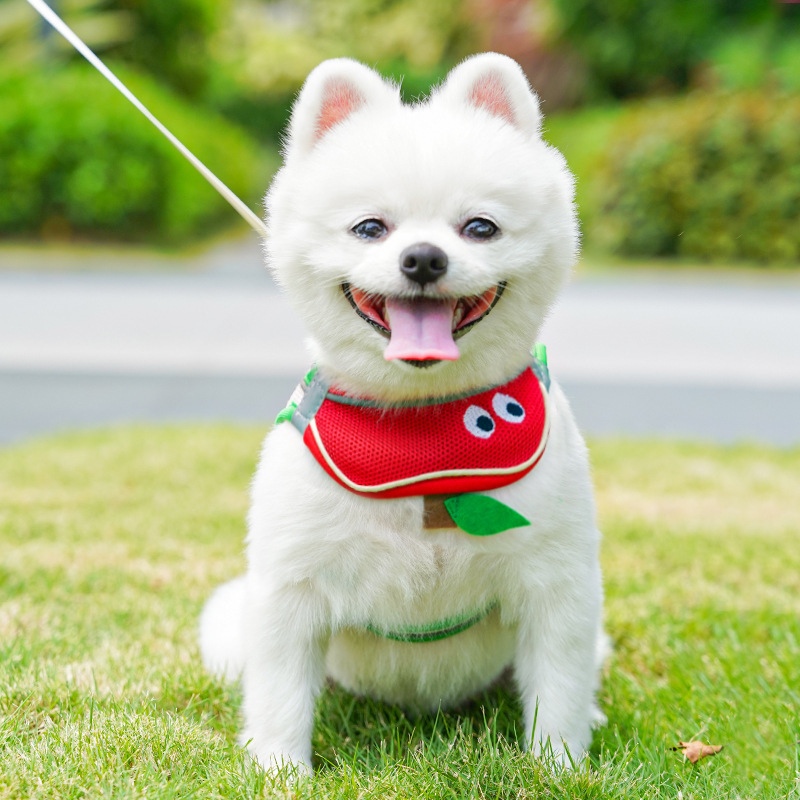 Mesh Pet Harness Cartoon Apple Design Breathable