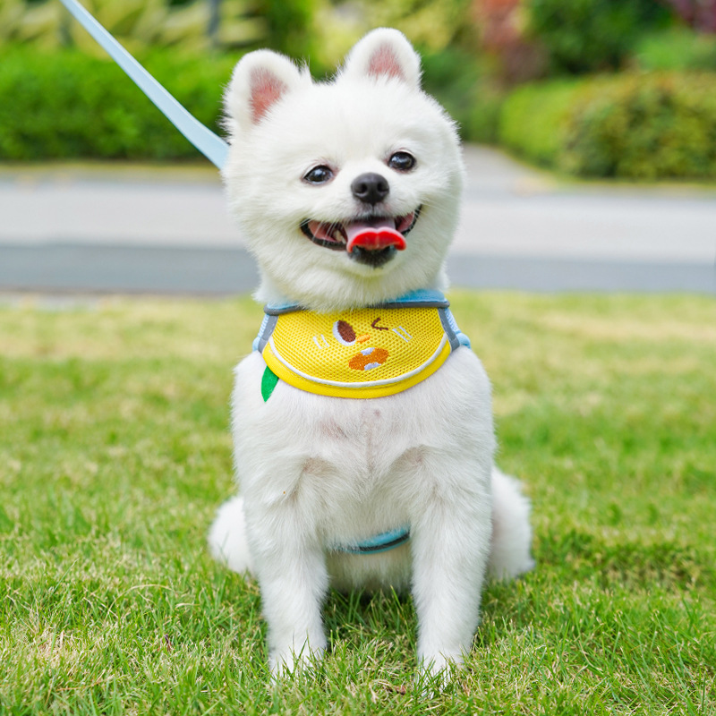 Mesh Pet Harness Cartoon Apple Design Breathable