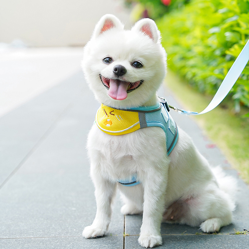 Mesh Pet Harness Cartoon Apple Design Breathable