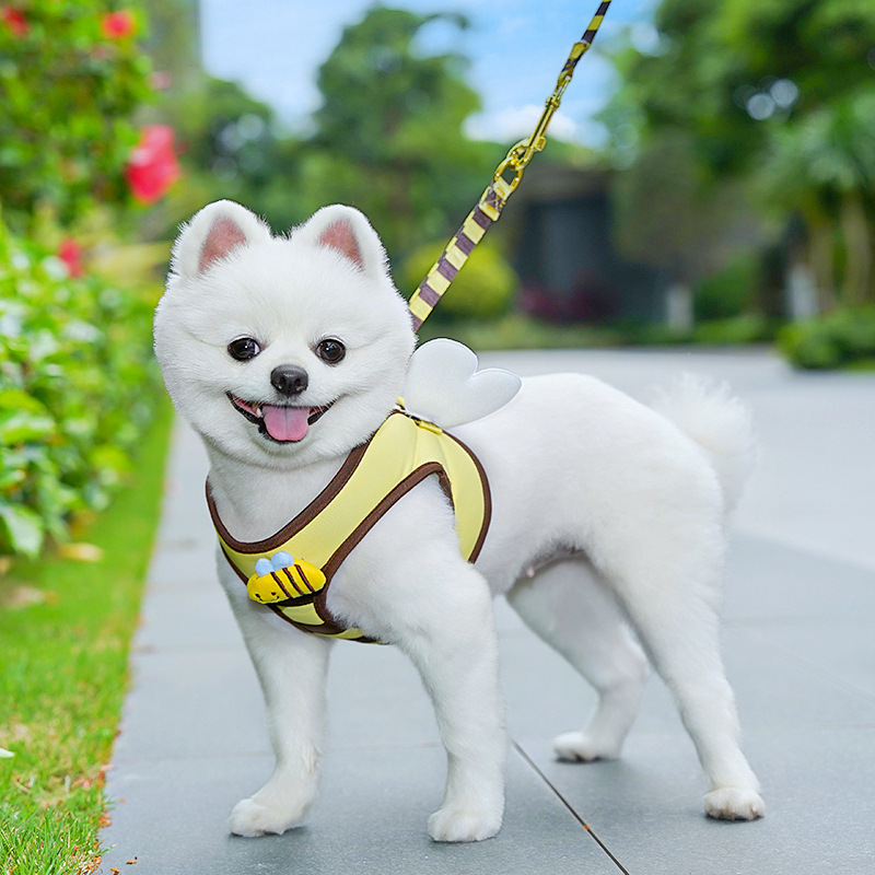 Cute Bee Pet Harness Vest with Wings Leash