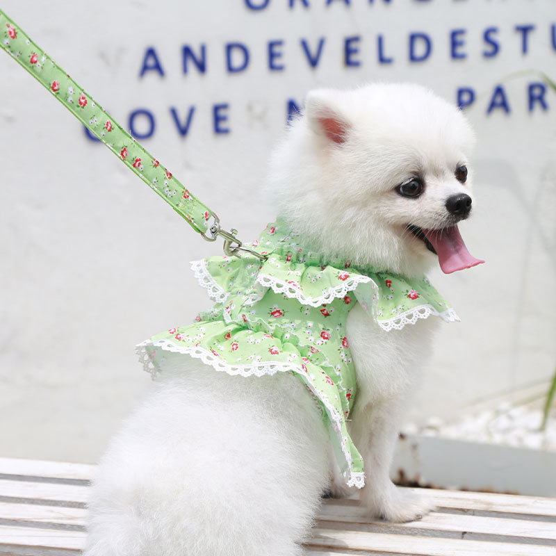 Floral Lace Dog Dress Harness Leash Set