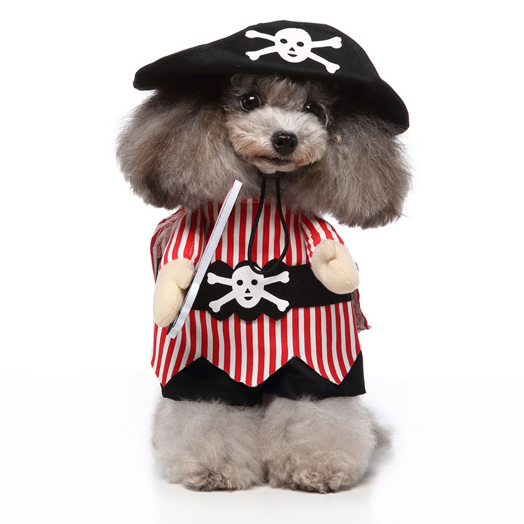 Adorable Panda Costume for Small Dogs Playful Outfit